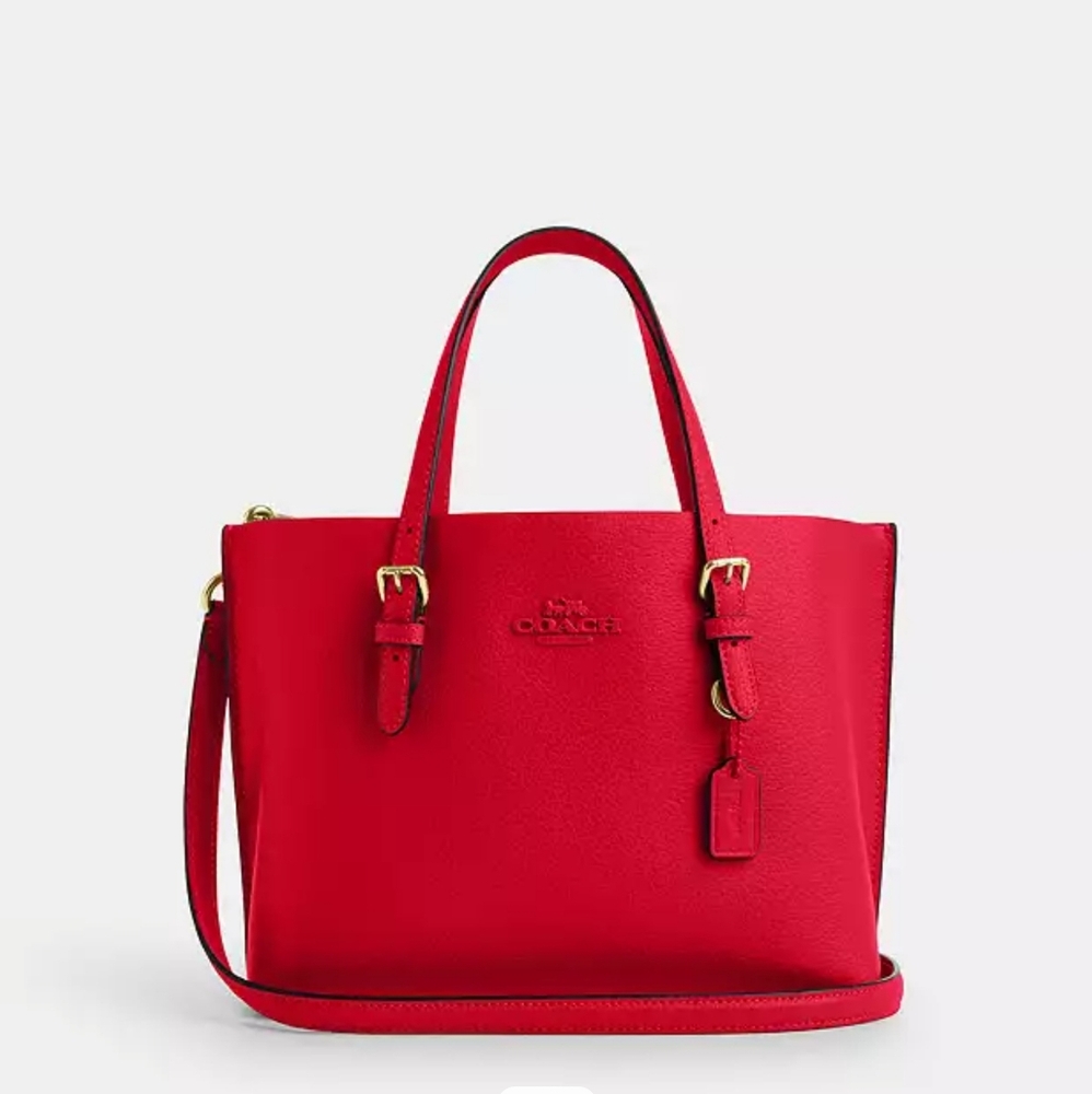 Coach Mollie 25 Bag